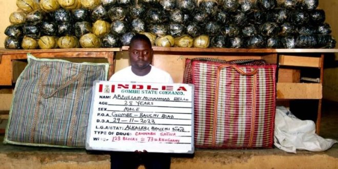 NDLEA Smashes Attempts To Smuggle Drugs In Jeans Hems, Dolls, Buttons To Europe, Asia